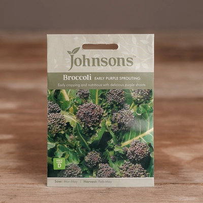 Broccoli Early Purple Sp - image 1