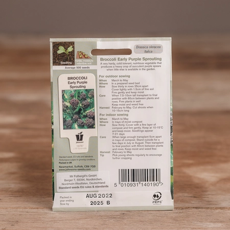 Broccoli Early Purple Sp - image 2