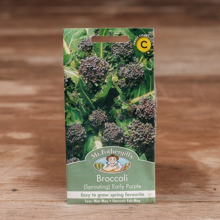Broccoli (Sprouting) Early Purple - image 1