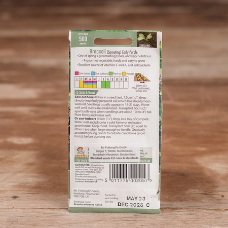 Broccoli (Sprouting) Early Purple - image 2