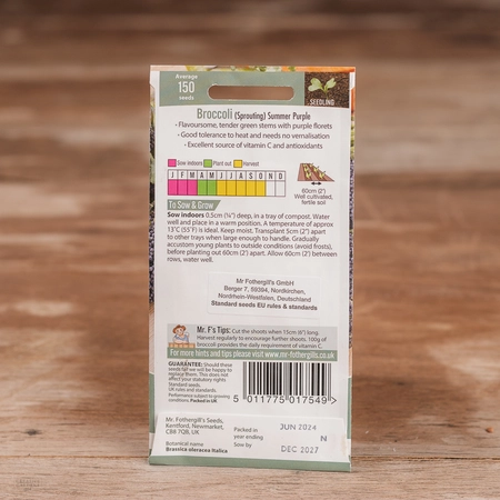 Broccoli (Sprouting) Summer Purple - image 2