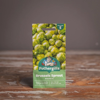 Brussels Sprout Brechin F1 - image 1