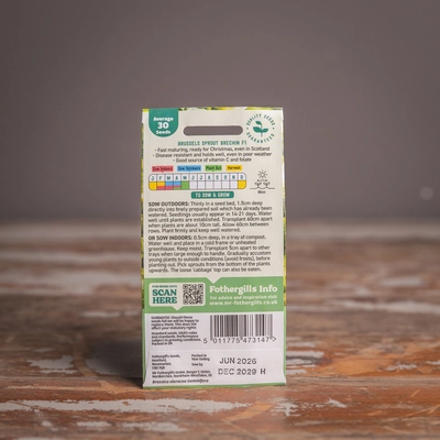 Brussels Sprout Brechin F1 - image 2