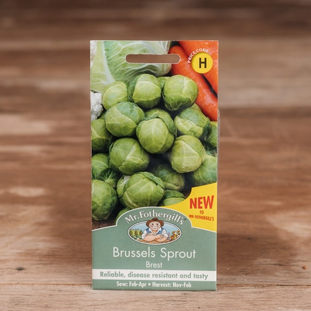 Brussels Sprout Brest - image 1