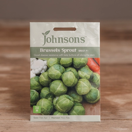 Brussels Sprout Brest F1 - image 1