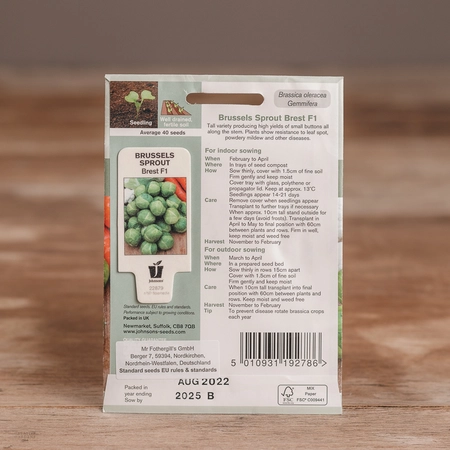 Brussels Sprout Brest F1 - image 2