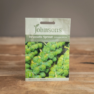 Brussels Sprout Evesham Special - image 1