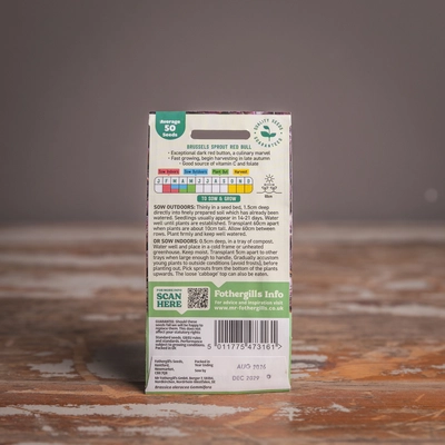 Brussels Sprout Red Bull - image 2