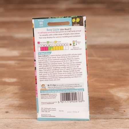 Busy Lizzie Safari Mix F2 - image 2