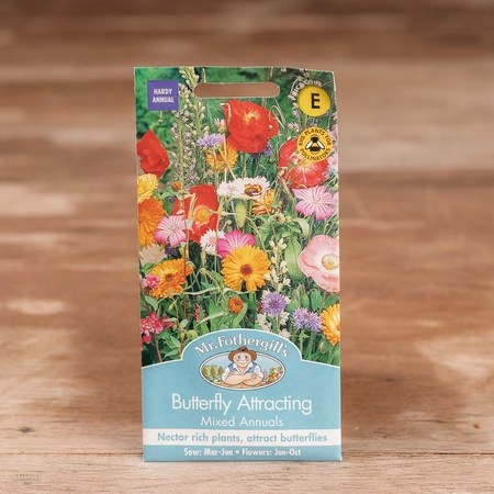 Butterfly Attracting Annuals - image 1