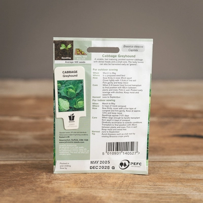 Cabbage Greyhound - image 2