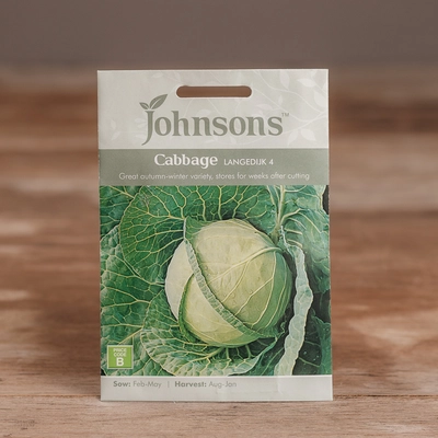 Cabbage Langedijk 4 - image 1