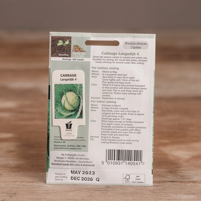 Cabbage Langedijk 4 - image 2