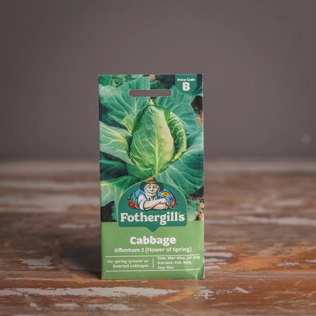 Cabbage Offenham 2 (Flower Of Spring) - image 1