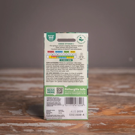 Cabbage Offenham 2 (Flower Of Spring) - image 2