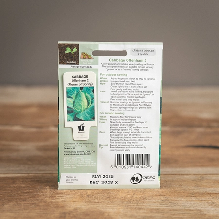 Cabbage Offenham 2 (Flower Of Spring) - image 2