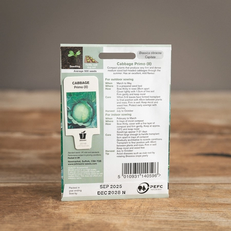 Cabbage Primo (Ii) - image 2