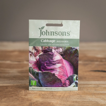 Cabbage (Red) Kalibos - image 1