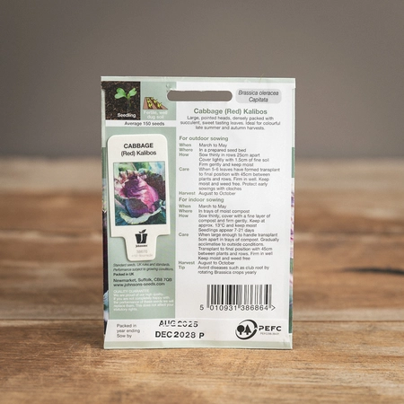 Cabbage (Red) Kalibos - image 2