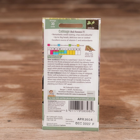 Cabbage (Red) Romanov F1 - image 2