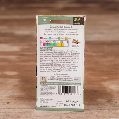 Cabbage (Red) Romanov F1 - image 2
