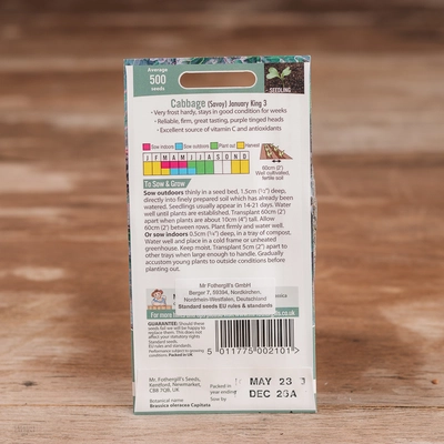 Cabbage (Savoy) January King 3 - image 2