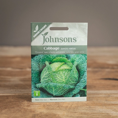 Cabbage (Savoy) Vertus - image 1