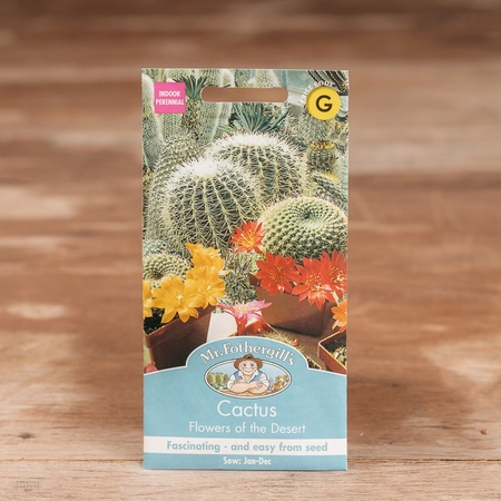 Cactus Flowers Of The Desert - image 1