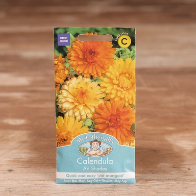 Calendula Art Shades
