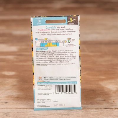 Calendula Daisy Mix - image 2