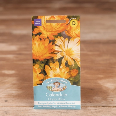 Calendula Oopsy Daisy