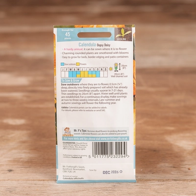 Calendula Oopsy Daisy - image 2