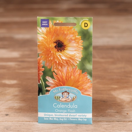 Calendula Orange Flash - image 1