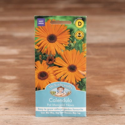 Calendula Pot Marigold Nova - image 1