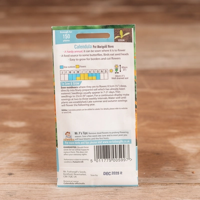 Calendula Pot Marigold Nova - image 2