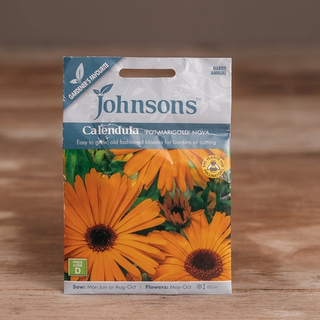 Calendula Pot Marigold Nova - image 1