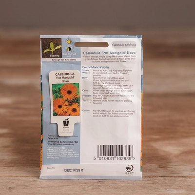 Calendula Pot Marigold Nova - image 2
