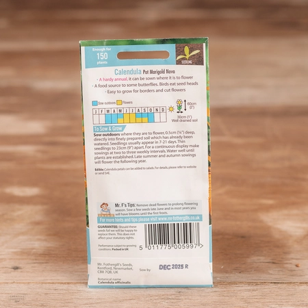 Calendula Pot Marigold Nova - image 2