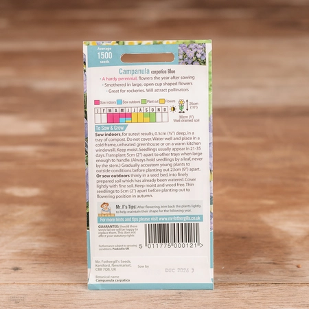 Campanula Carpatica Blue - image 2