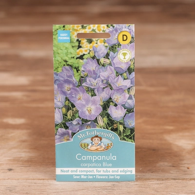 Campanula Carpatica Blue