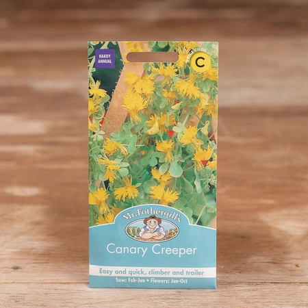 Canary Creeper - image 1