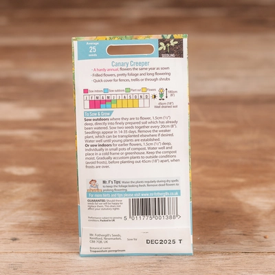 Canary Creeper - image 2