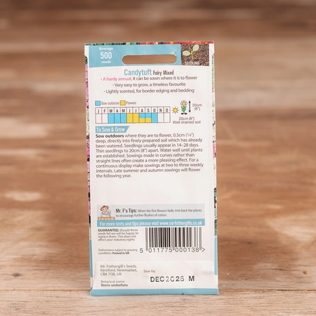 Candytuft Fairy Mix - image 2