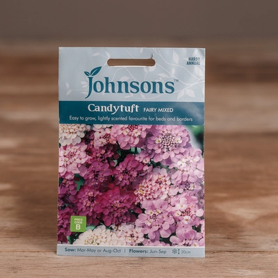 Candytuft Fairy Mix - image 1