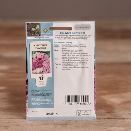 Candytuft Fairy Mix - image 2