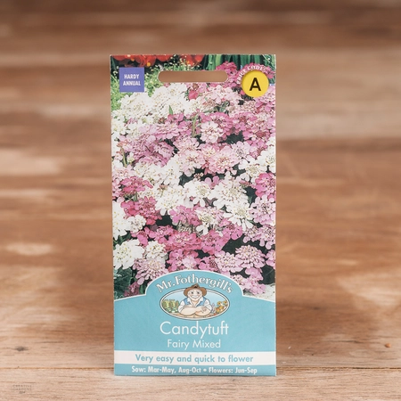 Candytuft Fairy Mix - image 1