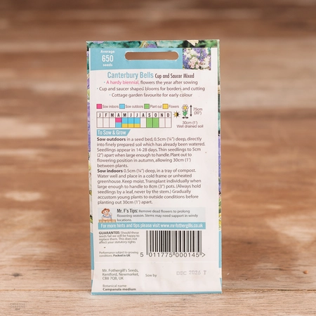 Canterbury Bells Cup & Saucer Mix - image 2