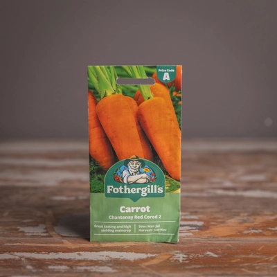 Carrot Chantenay Red Cored 2 - image 1