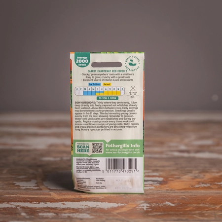 Carrot Chantenay Red Cored 2 - image 2