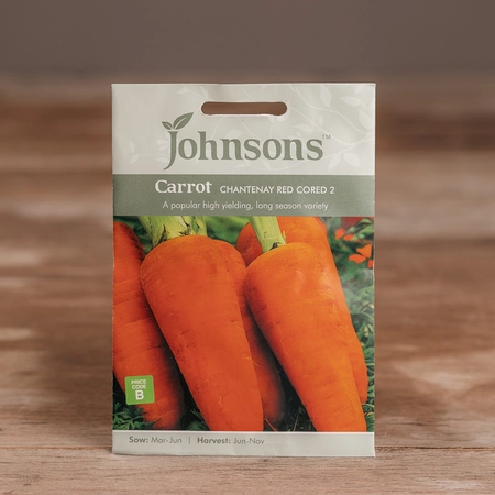 Carrot Chantenay Red Cored 2 - image 1